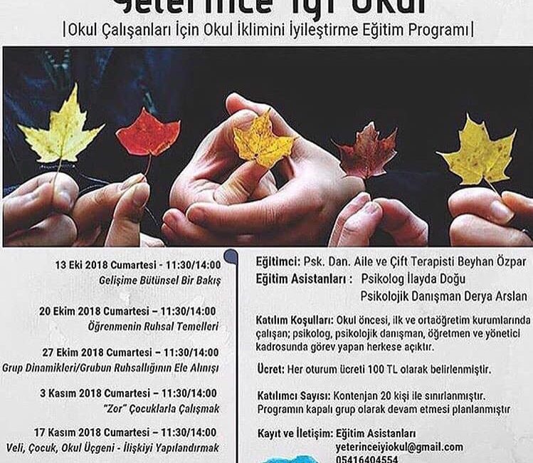 Yeterince İyi Okul