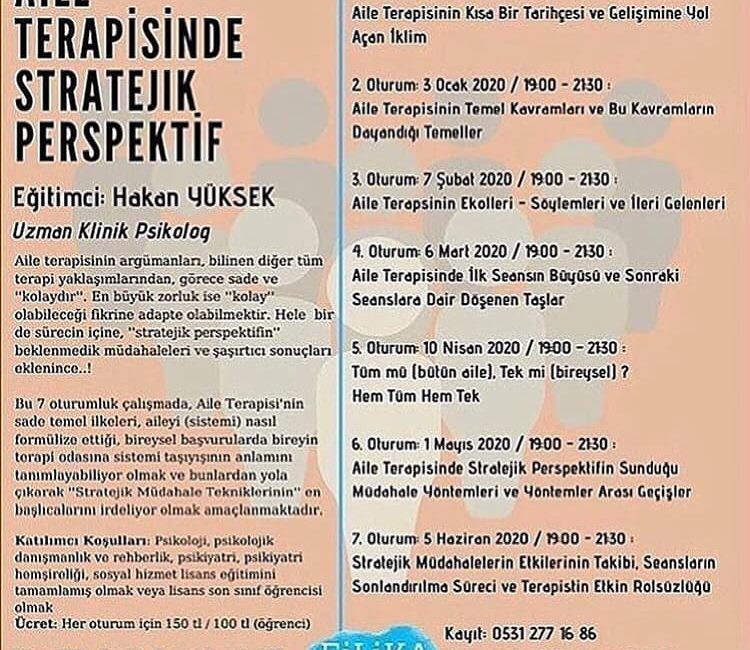 Aile Terapisinde Stratejik Perspektif